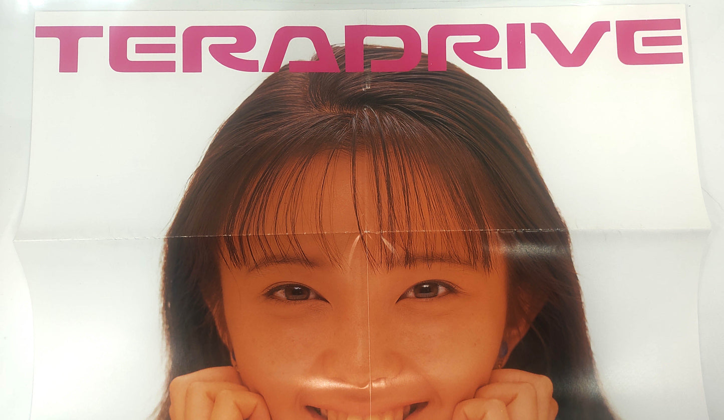 SEGA Teradrive Poster IBM PC Soft Selection 14 – Extremamente Raro!