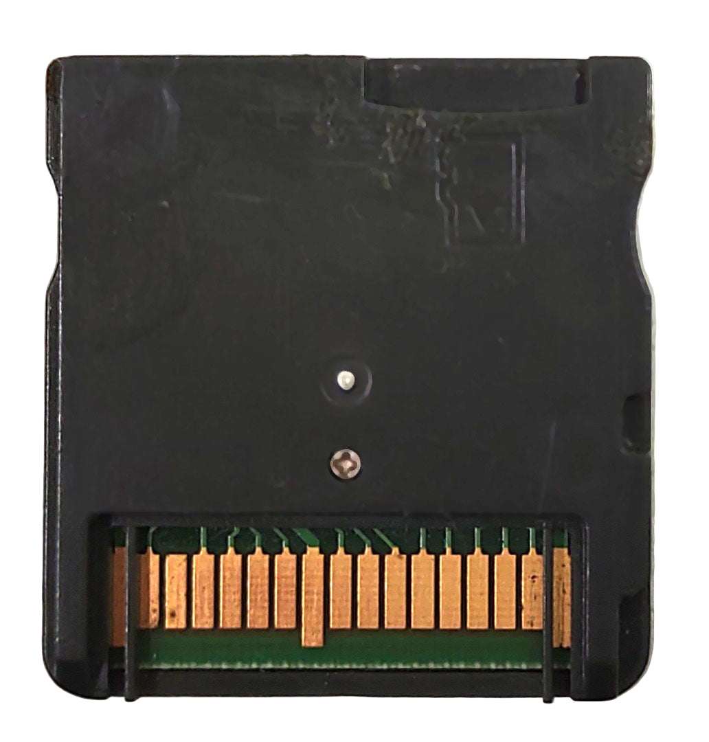 R4 Revolution for DS - Nintendo DS [Flashcard]